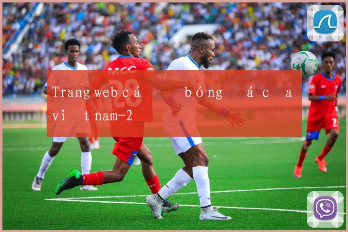 Trang web cá độ bóng đá của việt nam