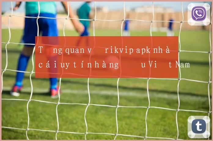 Tổng quan về rikvip apk nhà cái uy tín hàng đầu Việt Nam