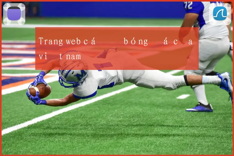 Trang web cá độ bóng đá của việt nam